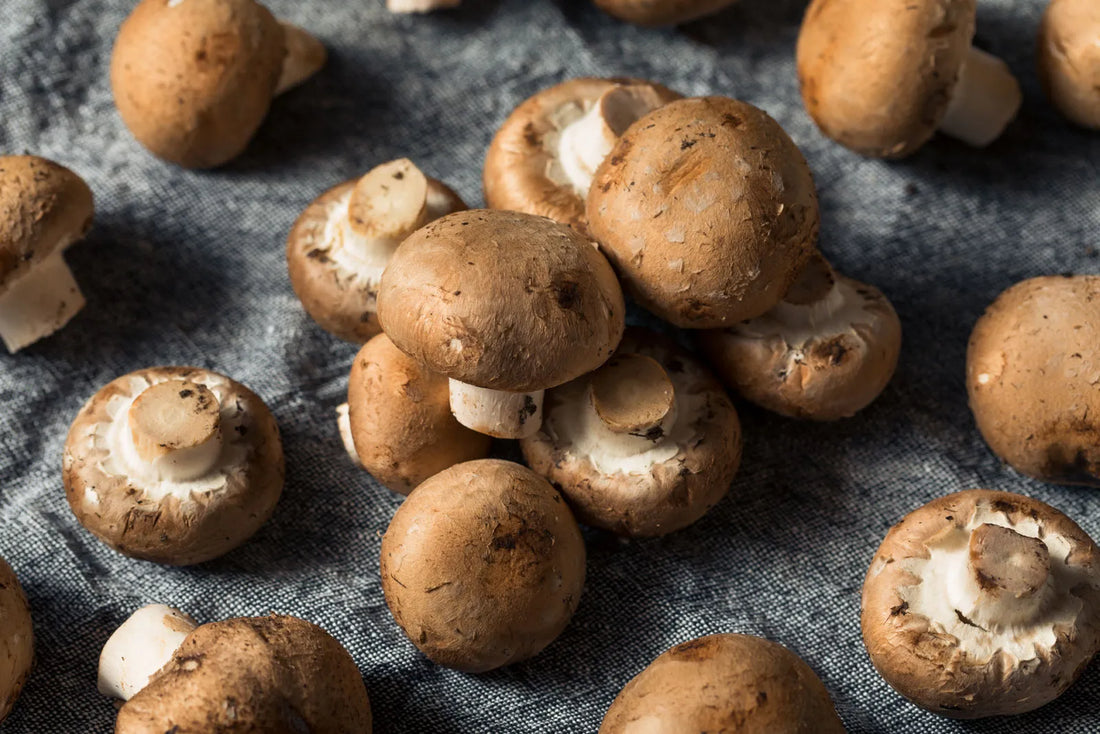 The Marvelous World of Portobello Mushrooms