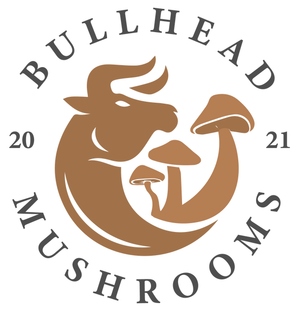 Bullhead Mushrooms